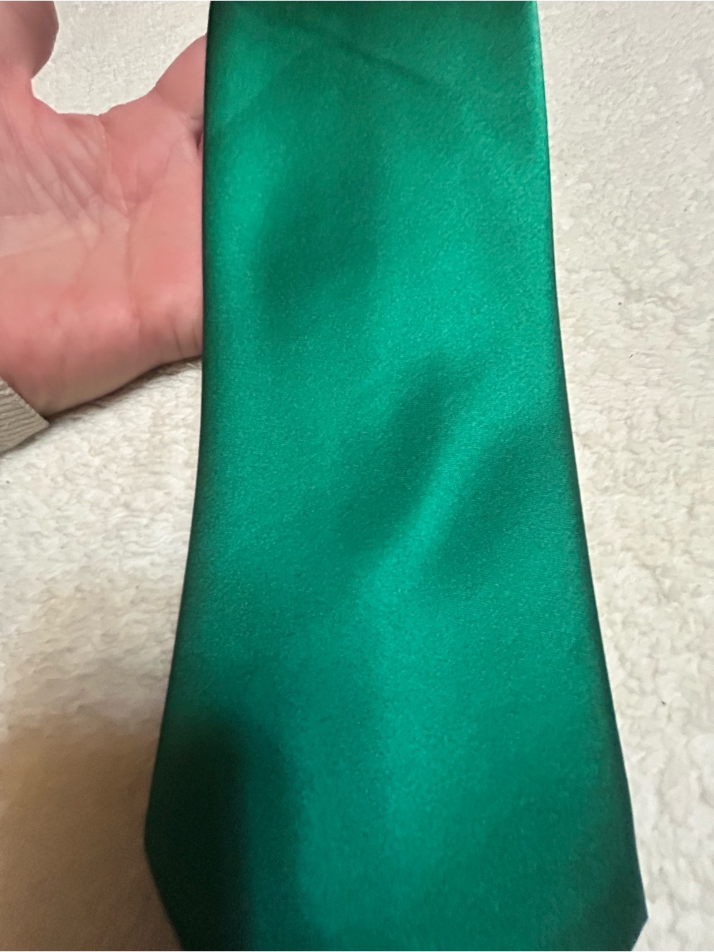 🎁3 for $30 - Green Necktie